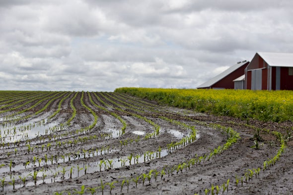 Farmers Must Adapt as U.S. Corn Belt Shifts Northward