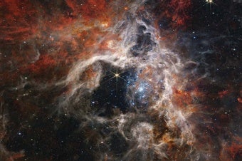 The Tarantula Nebula