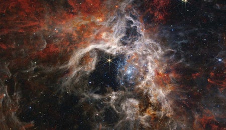 The Tarantula Nebula nursery. Young stars sparkle in blue at the center and rusty ripples at the outskirts represent cooler gas where future stars will form.