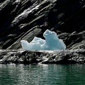 Small bits of disintegrating icebergs are called "growlers" or "bergy bits." Tracy Arm.