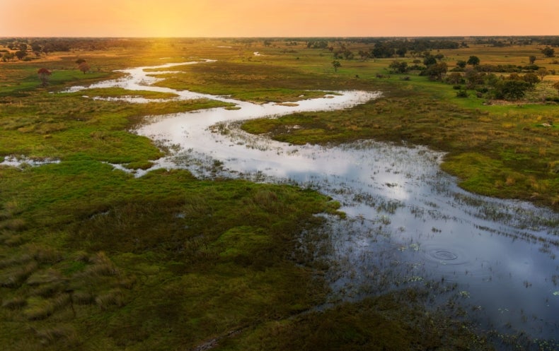 living-shorelines-will-get-fast-track-to-combat-sea-level-rise