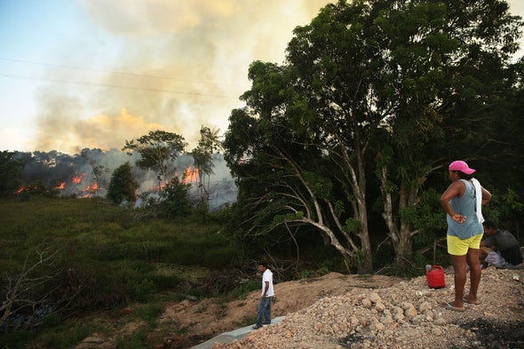 Dry Amazon Could See Record Fire Season