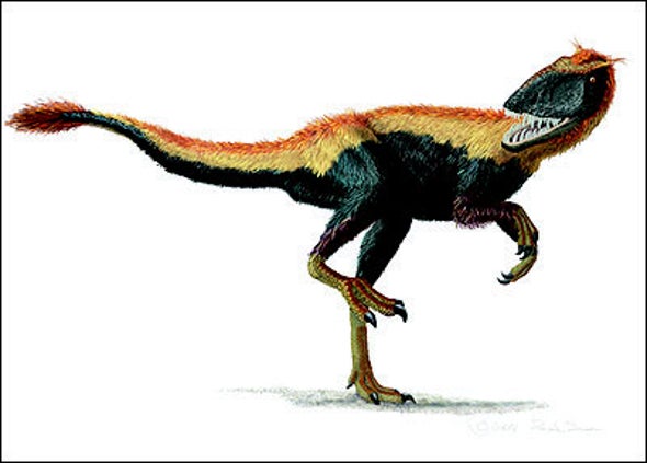 feathered rex