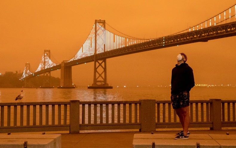 What the Acrid Smoke from Wildfires Can Teach Us - Scientific American