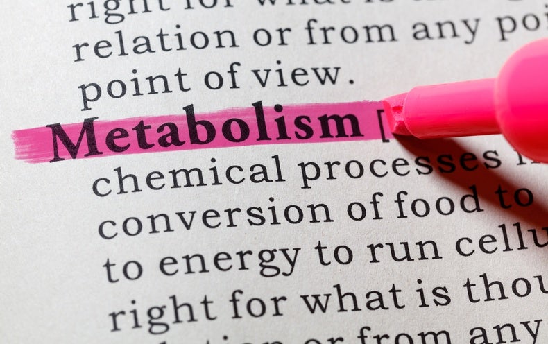 what-is-your-metabolism-scientific-american