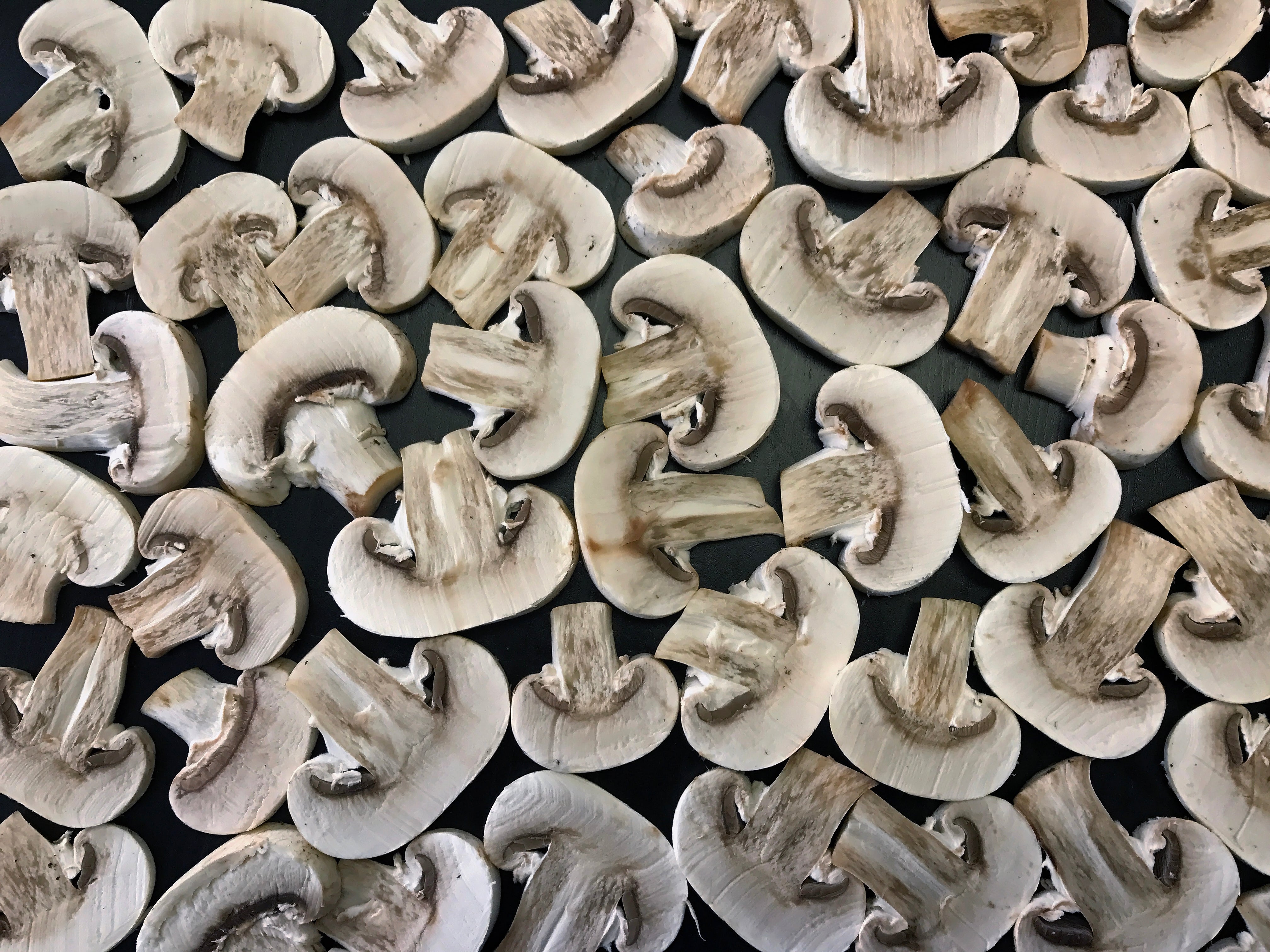 Raw Mushrooms Hazardous Or Harmless Scientific American