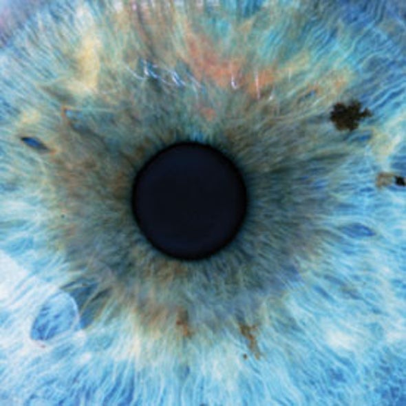 Hidden Organ in Our Eyes Found to Control Circadian Rhythms and Emotions