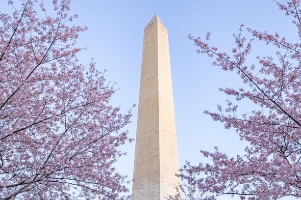 Iconic Cherry Blossoms Are Blooming Earlier Than Ever in Washington, D.C.
