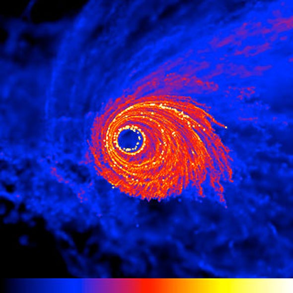 How Puzzling Stars Formed near Galactic Black Hole