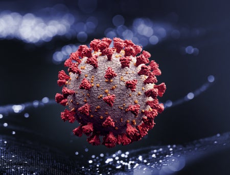 Stock image of coronavirus.