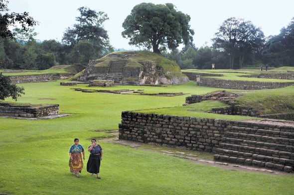 Toxic Algae Plagued Ancient Maya Civilization