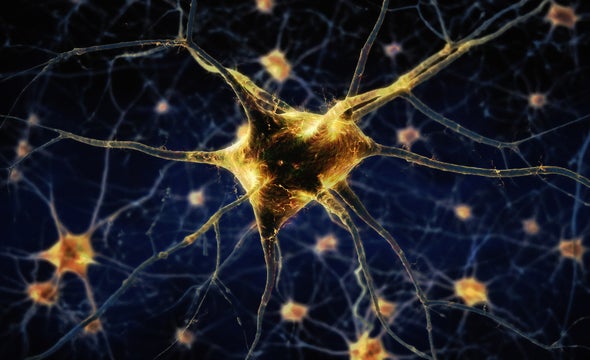 Method that Maps DNA Tags Reveals New Types of Neurons