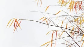 ecology research articles ecology research articles