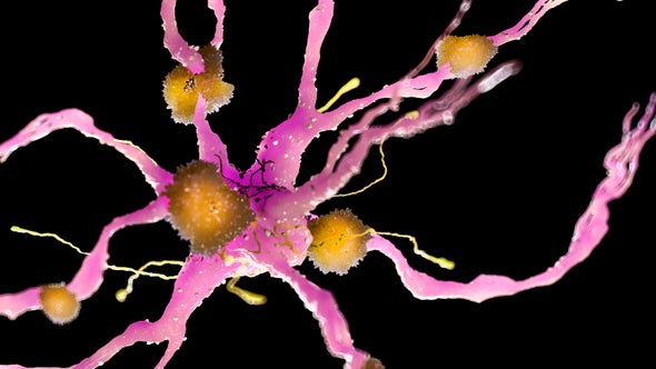 Longevity Gene May Protect against a Notorious Alzheimer's Risk Gene