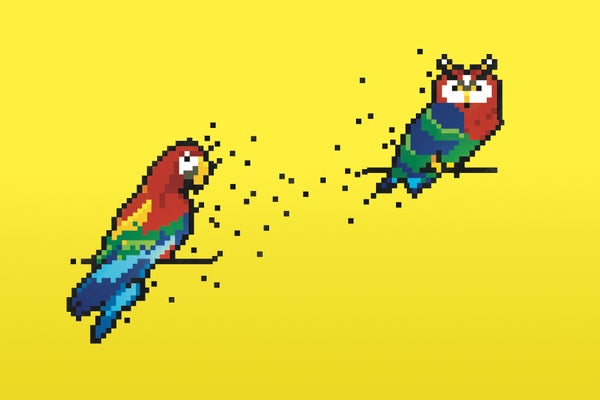 Pixelated illustration of a parrot and owl.