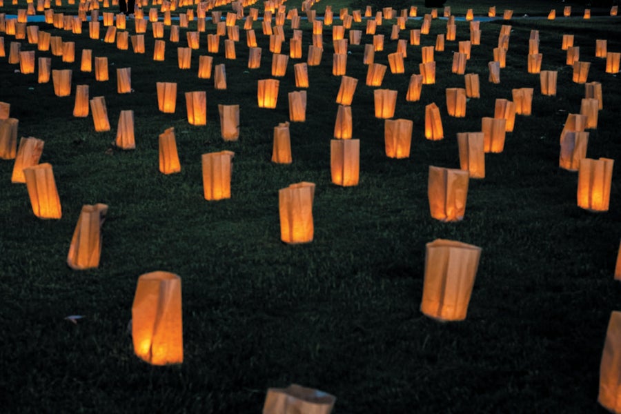 Candles in bags lined up on a lawn.