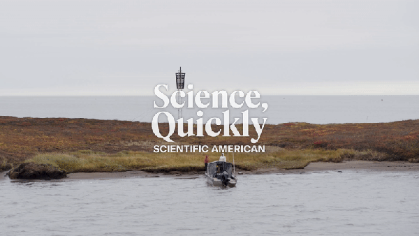 An aerial view of 3 people standing on the shore of an island with the ocean in the background