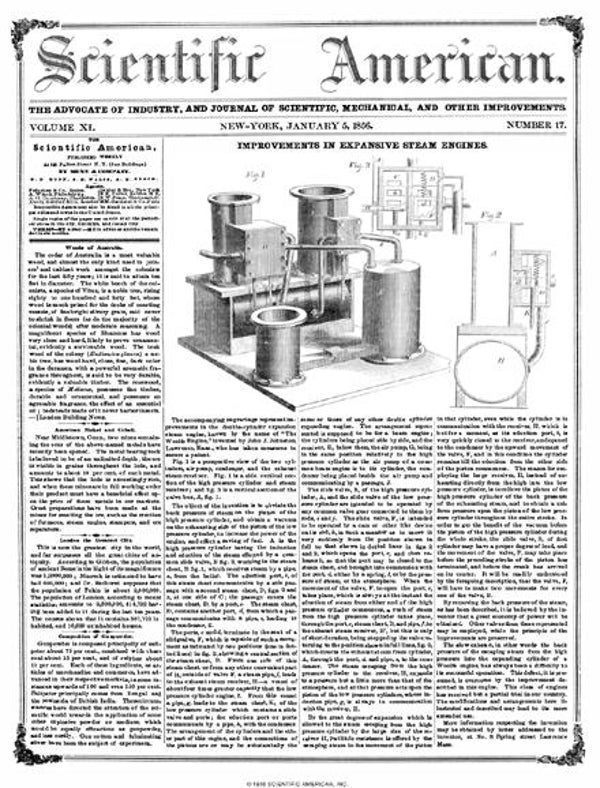 Scientific American Magazine Vol 11 Issue 17