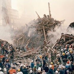 What Was in the World Trade Center Plume? [Interactive]