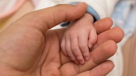 Like Genes, Our Microbes Pass from Parent to Child