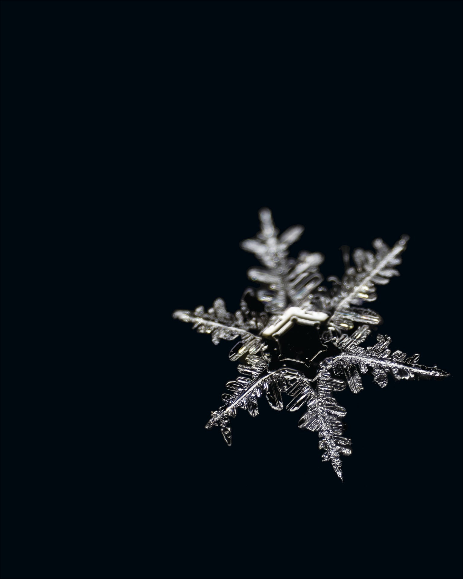 Poem The Scalar Nature Of Snow Scientific American