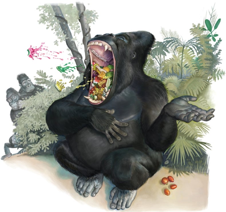 gorilla eats sushi gorilla eats sushi