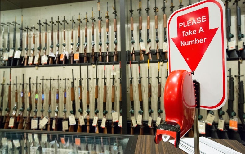 A Look at the Mental Health Provisions in the New Gun Law