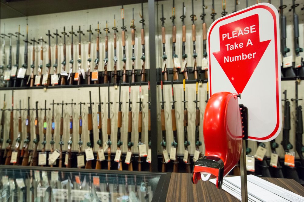 A Look at the Mental Health Provisions in the New Gun Law | Scientific ...