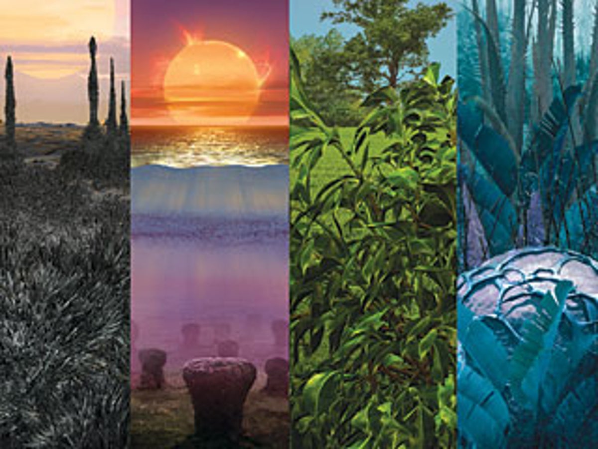 The Color of Plants on Other Worlds | Scientific American