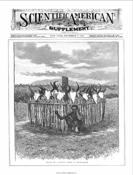 SA Supplements Vol 52 Issue 1353supp