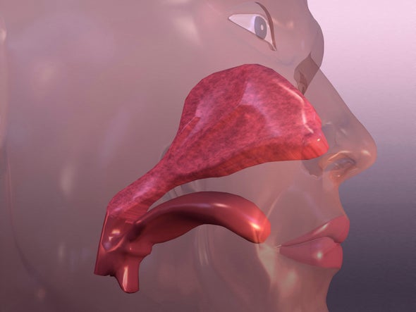 Eat Slowly and Breathe Smoothly to Enhance Taste