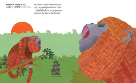 Howler monkey illustration from book