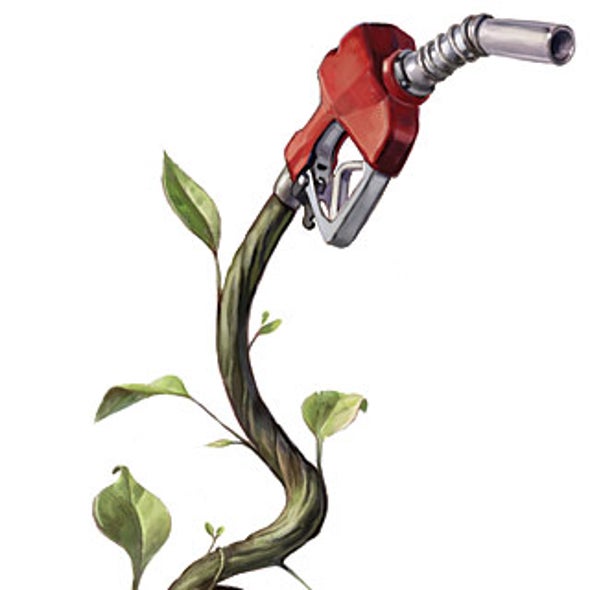 The Next Generation of Biofuels