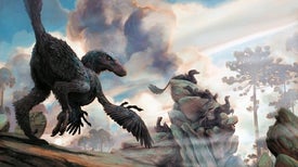 How Birds Evolved from Dinosaurs