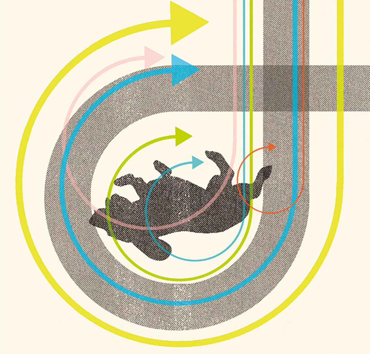 What It Means When a Dog Rolls onto Its Back Scientific American