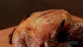 Cook the Perfect Turkey with Chemistry