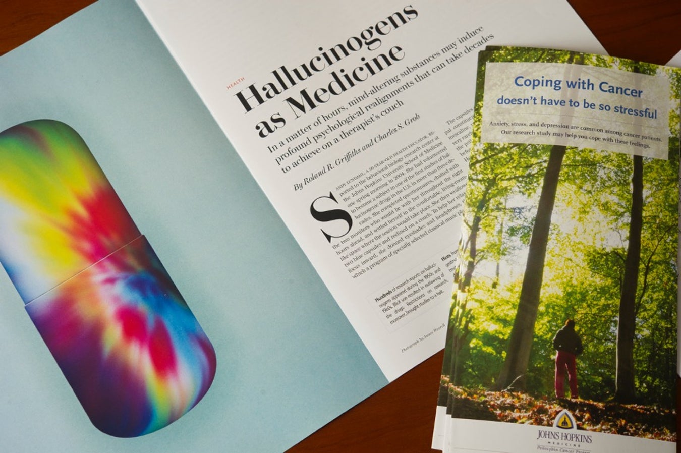 Psilocybin A Journey beyond the Fear of Death? Scientific American