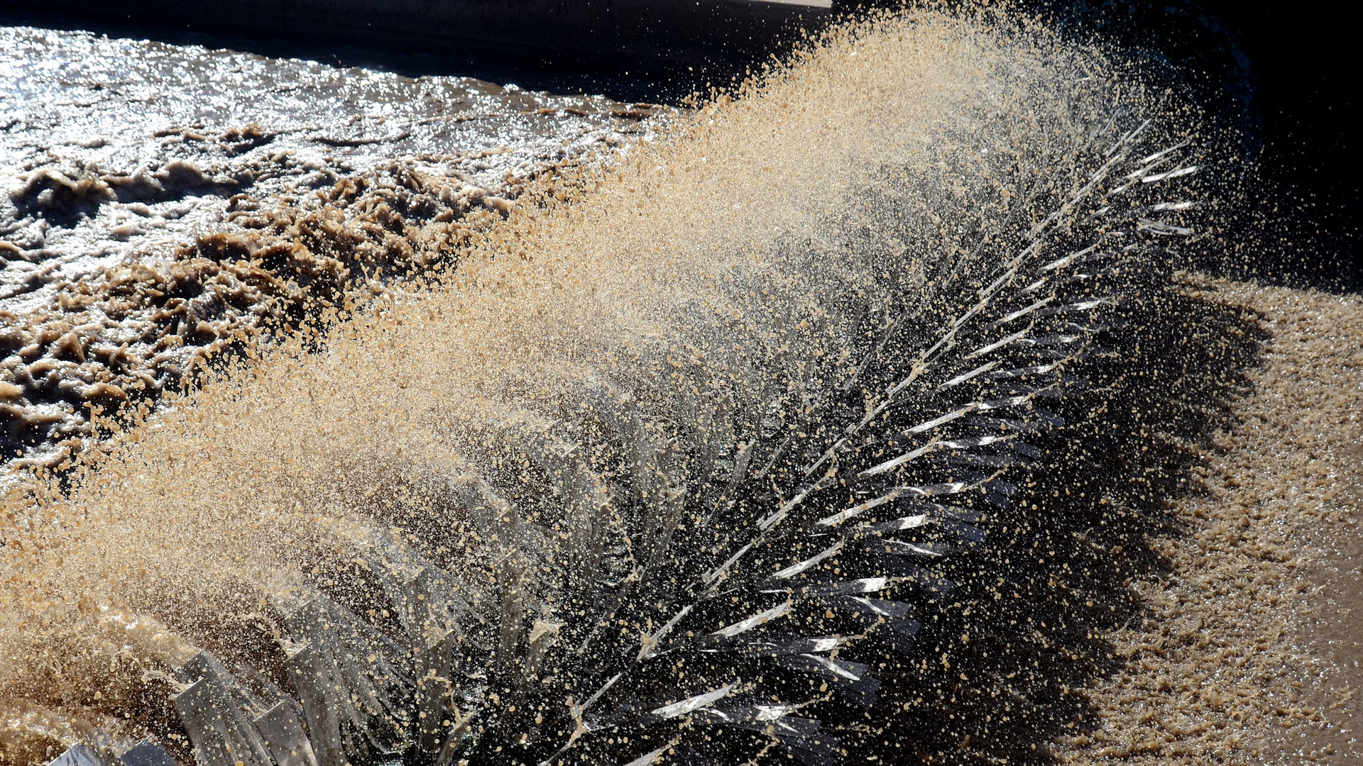 Sewage Plants Overlooked Source of CO2 | Scientific American
