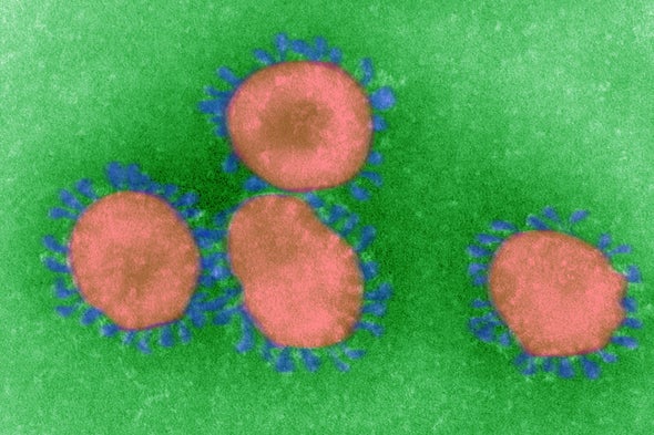 How Coronaviruses Cause Infection From Colds To Deadly Pneumonia Scientific American