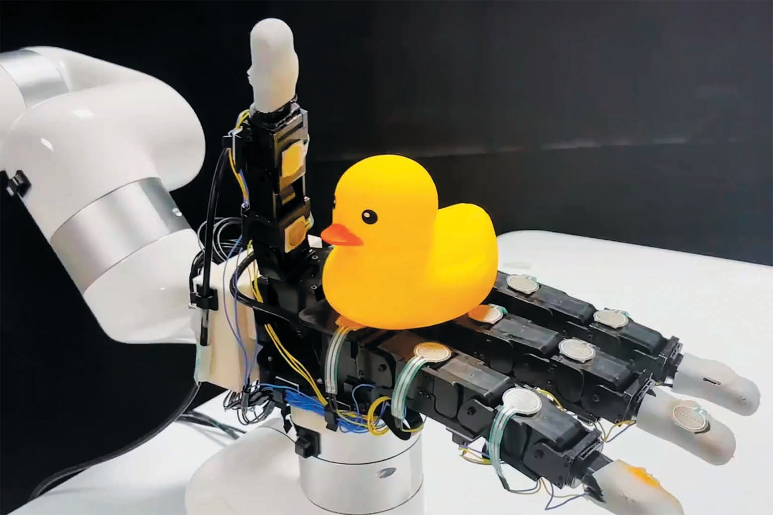 Långiver Grønland Diskant New Robot Hand Works by Feel, Not Sight - Scientific American