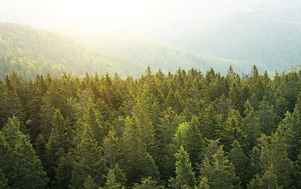 Acreage of Pristine Landscapes Declined Significantly So Far This Century