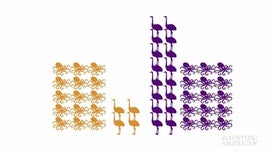 The Math behind the Polls