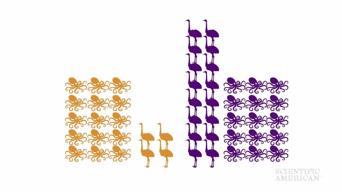 The Math behind the Polls | Scientific American