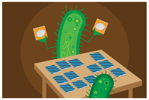 Illustration of two cells playing a card game.