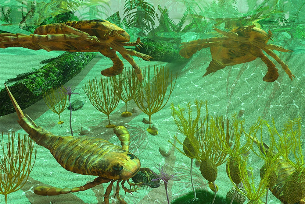 What Sparked the Cambrian Explosion? | Scientific American