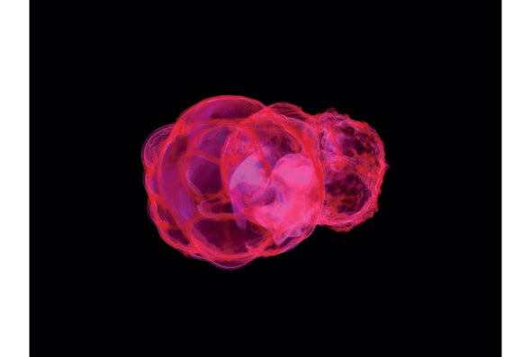 Nearby Supernova Explosions May Have Affected Human Evolution [Video]