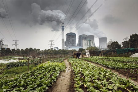 Gardener with polluting coal power station emitting dark smoke in background.