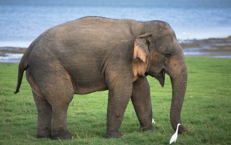 Science News Briefs from Around the Globe