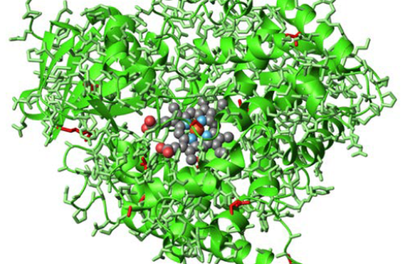 Revolution in Evolution Wins 2018 Nobel Prize in Chemistry