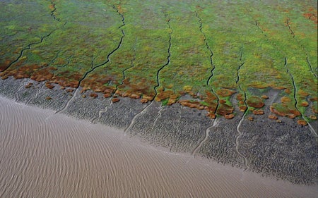 海景泥板和湿地